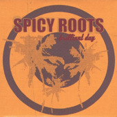 spicy roots
        Brilliant Day Ska CD